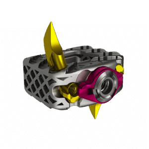 Stasys-C 3D Printed Cervical Standalone System
